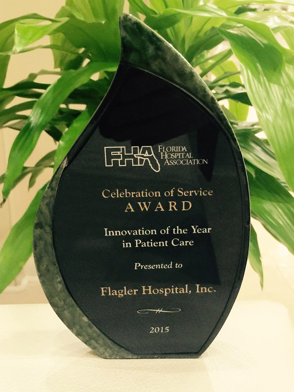 Flagler Award